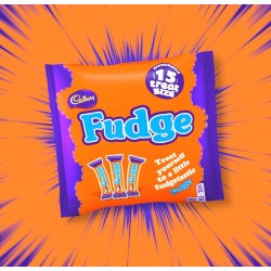 Cadbury Fudge 15 Treat Size Bag 202g
