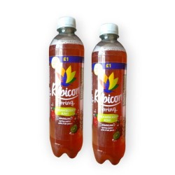 Rubicon Spring Water with Fruit Juice Strawberry Kiwi 500ml - 2 For £1.50